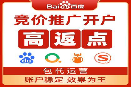 百度推广优化策略：成功案例解析